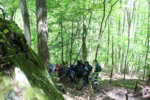 New for 2018-Edible & Medicinal Forest Ecotours